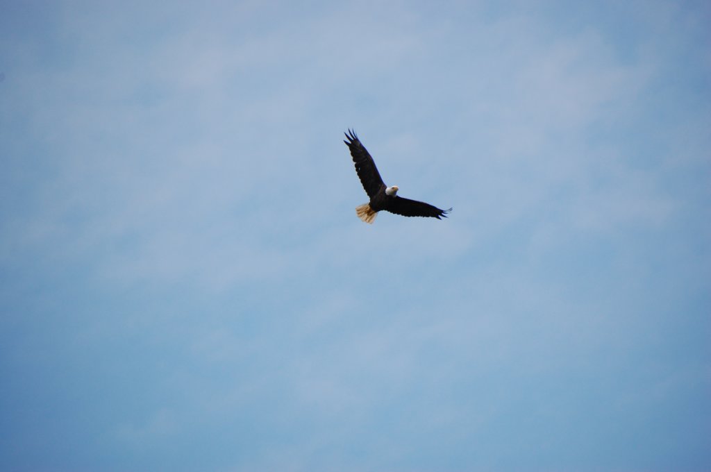 dsc_0058.jpg