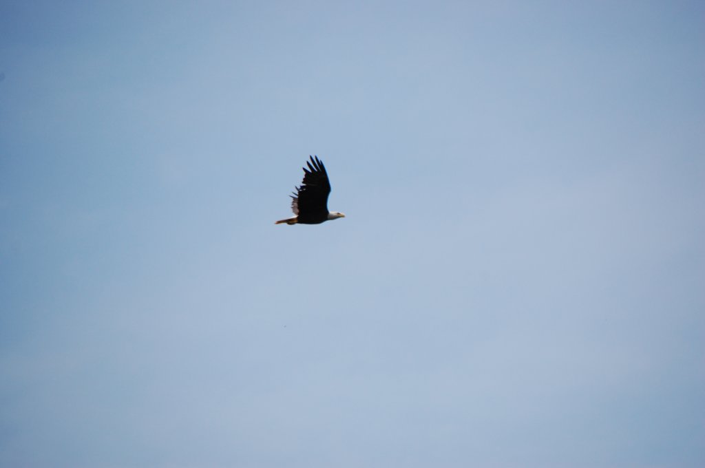 dsc_0059.jpg