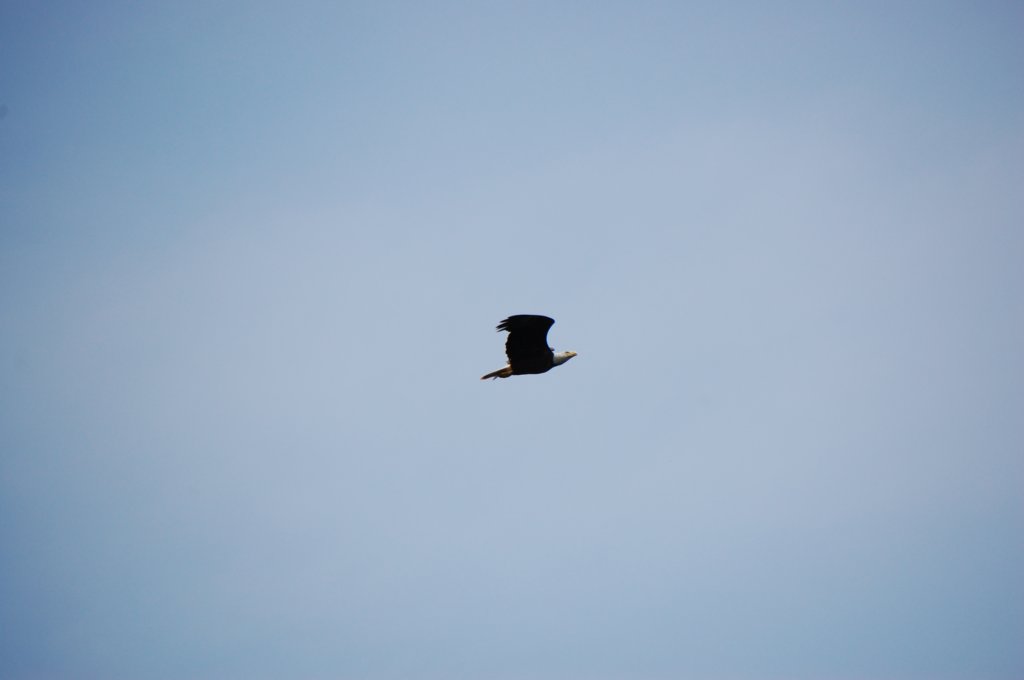 dsc_0060.jpg