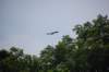 dsc_0069_small.jpg