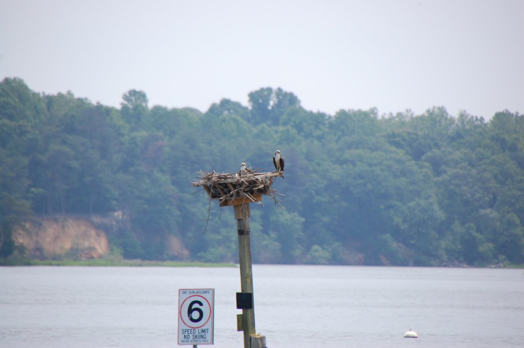 dsc_0095.jpg
