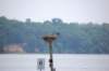 dsc_0095_small.jpg