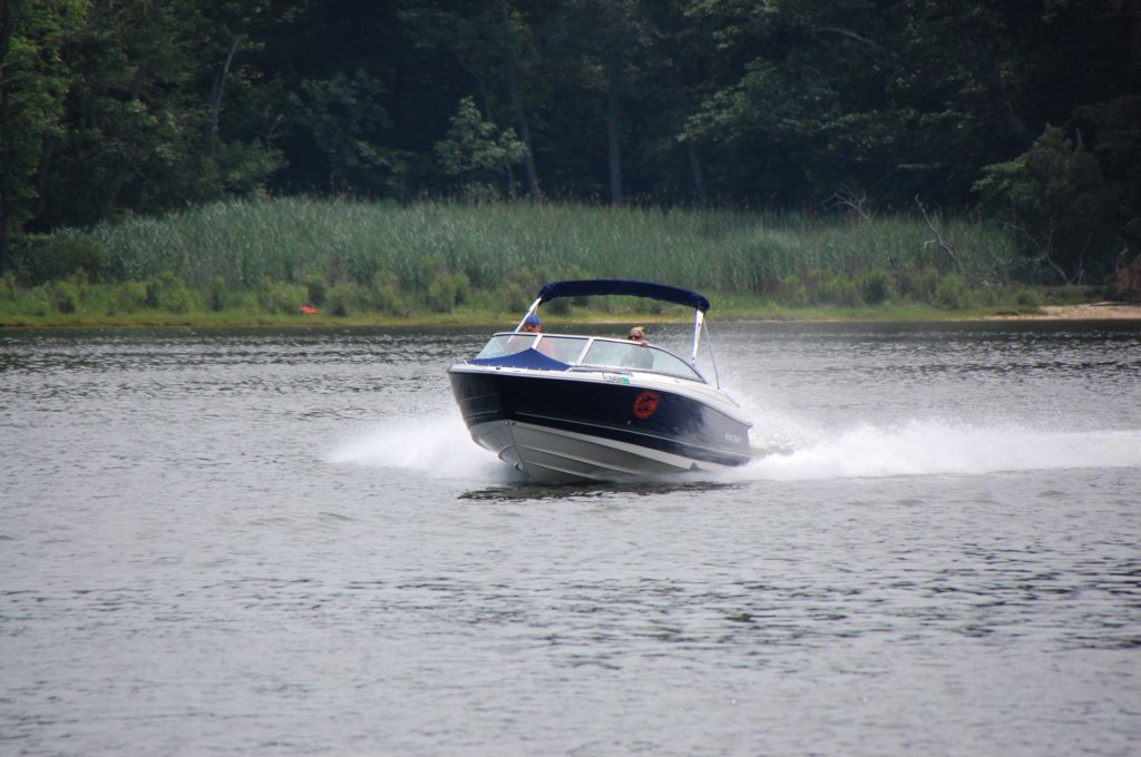 dsc_0113.jpg