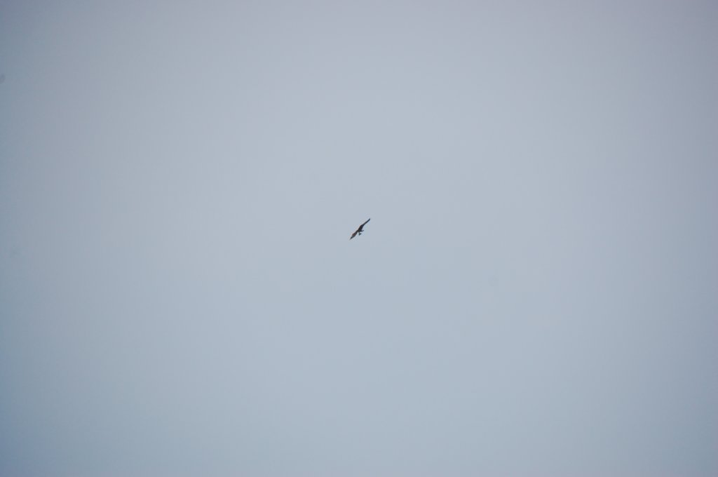 dsc_0291.jpg