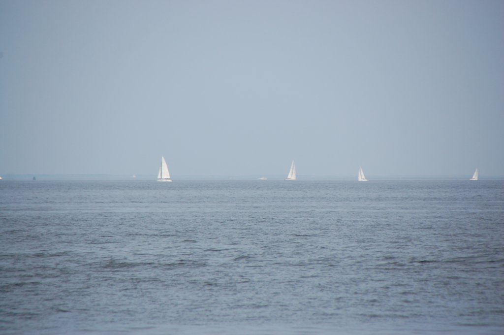 dsc_0314.jpg