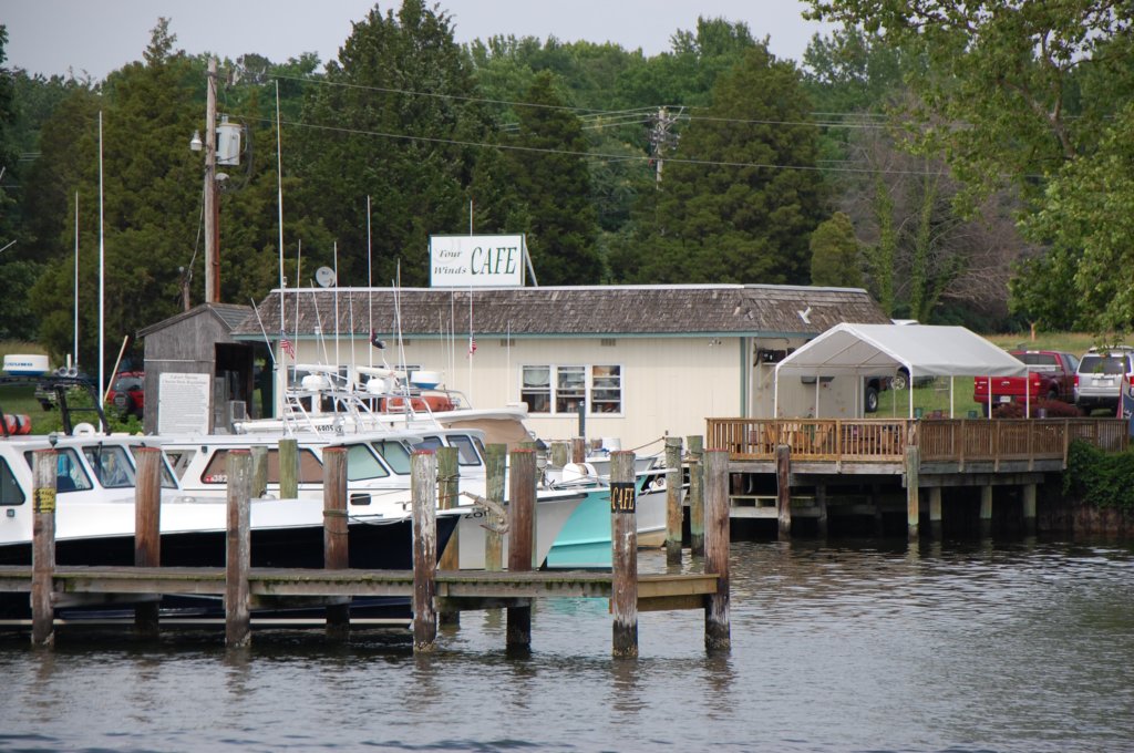 dsc_0386.jpg
