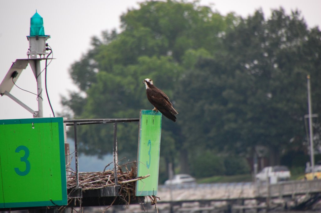 dsc_0471.jpg