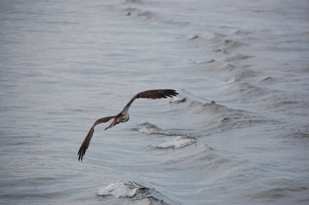 dsc_0478.jpg