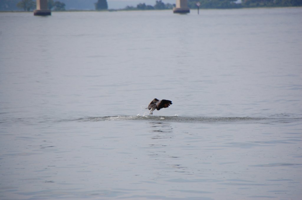 dsc_0487.jpg
