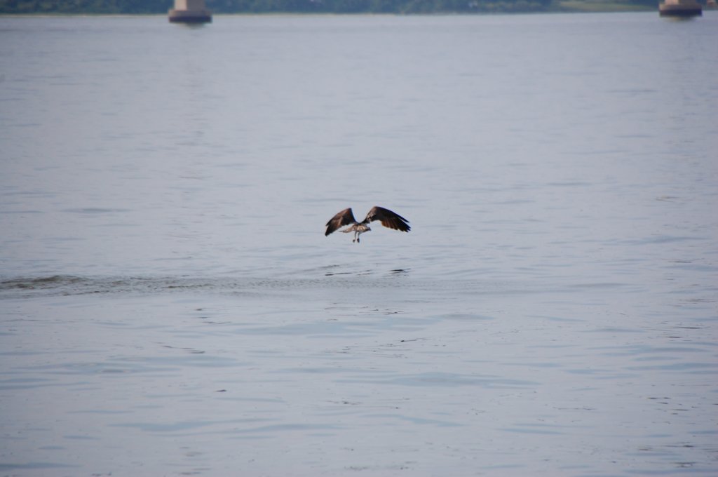 dsc_0489.jpg