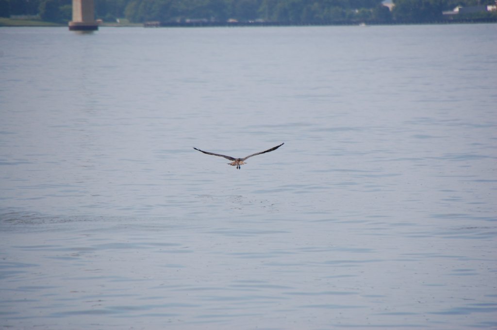 dsc_0491.jpg