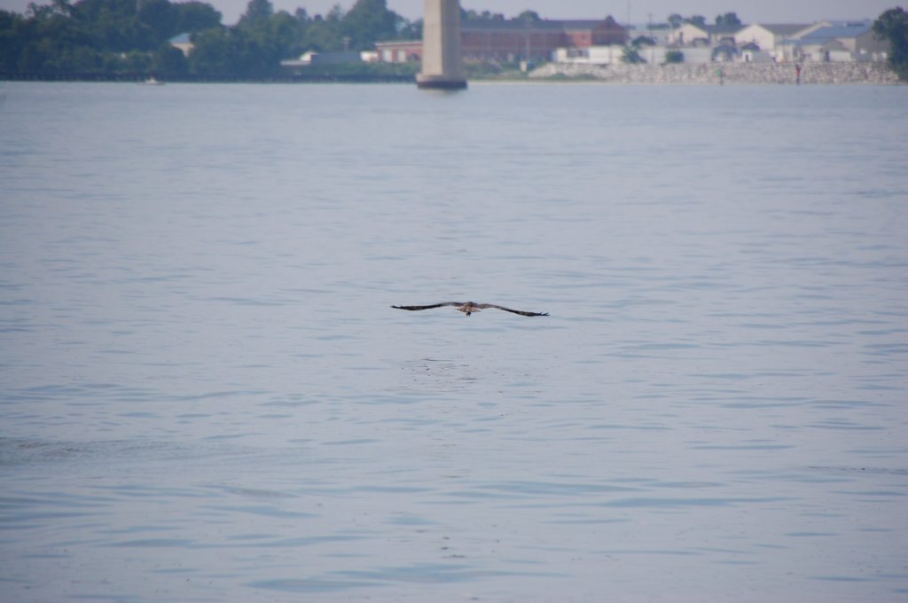 dsc_0493.jpg