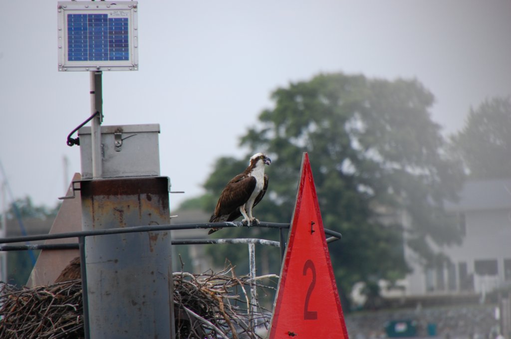dsc_0507.jpg