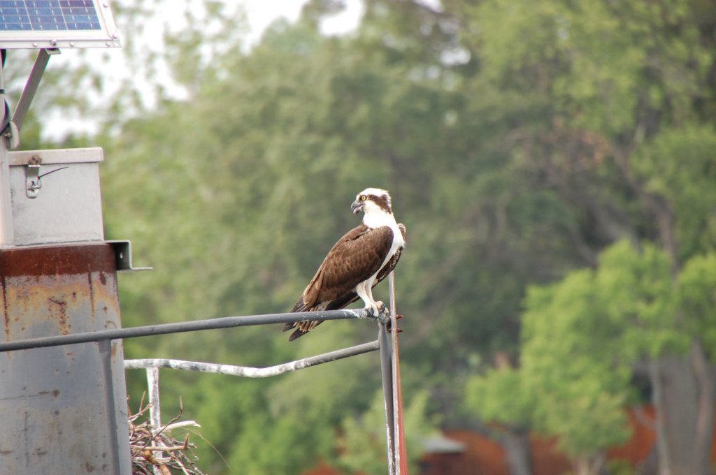 dsc_0512.jpg