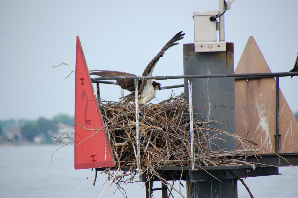 dsc_0522.jpg