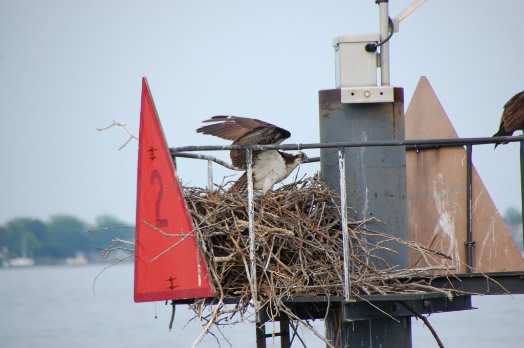 dsc_0525.jpg