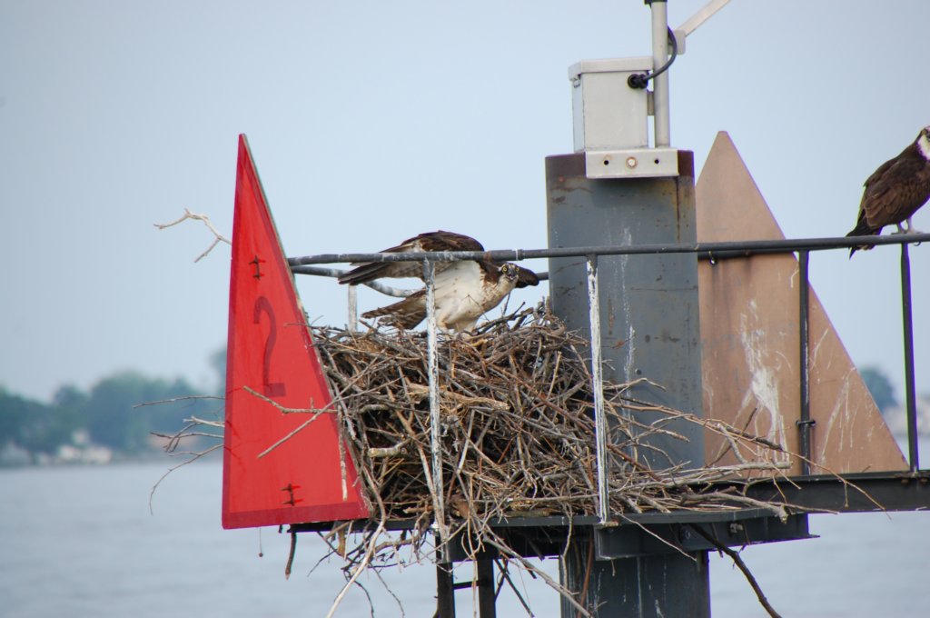 dsc_0526.jpg