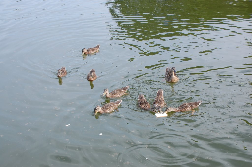 dsc_0538.jpg