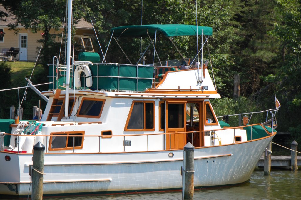 dsc_0596.jpg