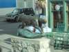 dscn0905_small.jpg