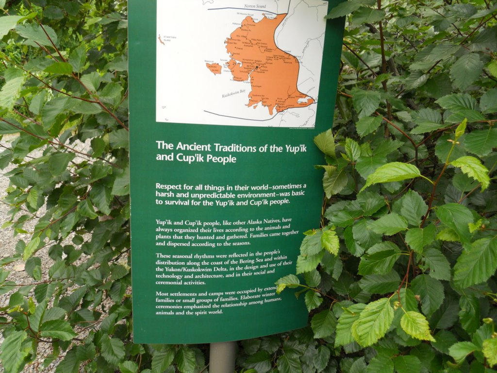 dscn0922.jpg