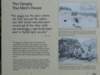 dscn0926_small.jpg