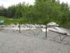 dscn0941_small.jpg