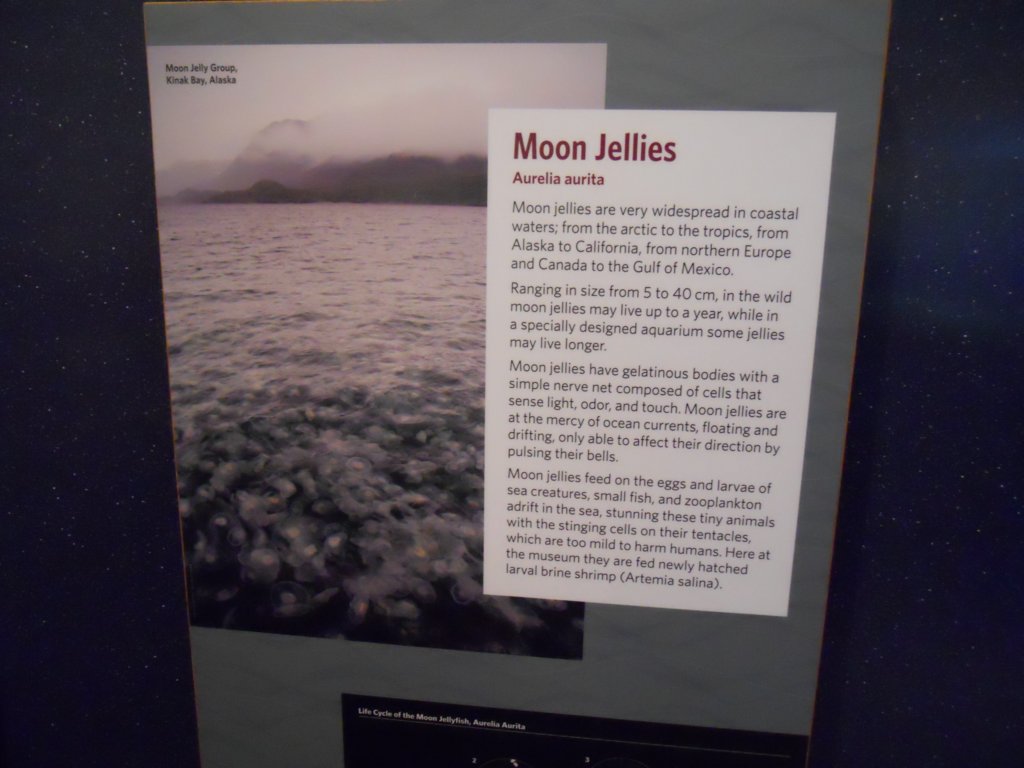 dscn0980.jpg