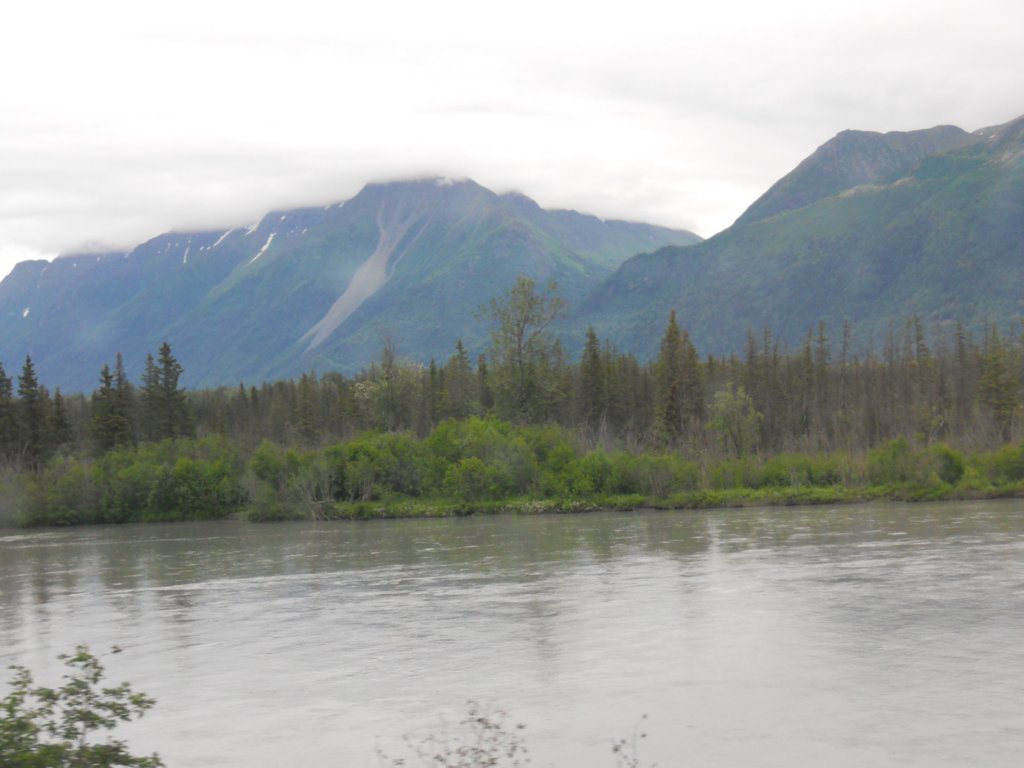 dscn1040.jpg