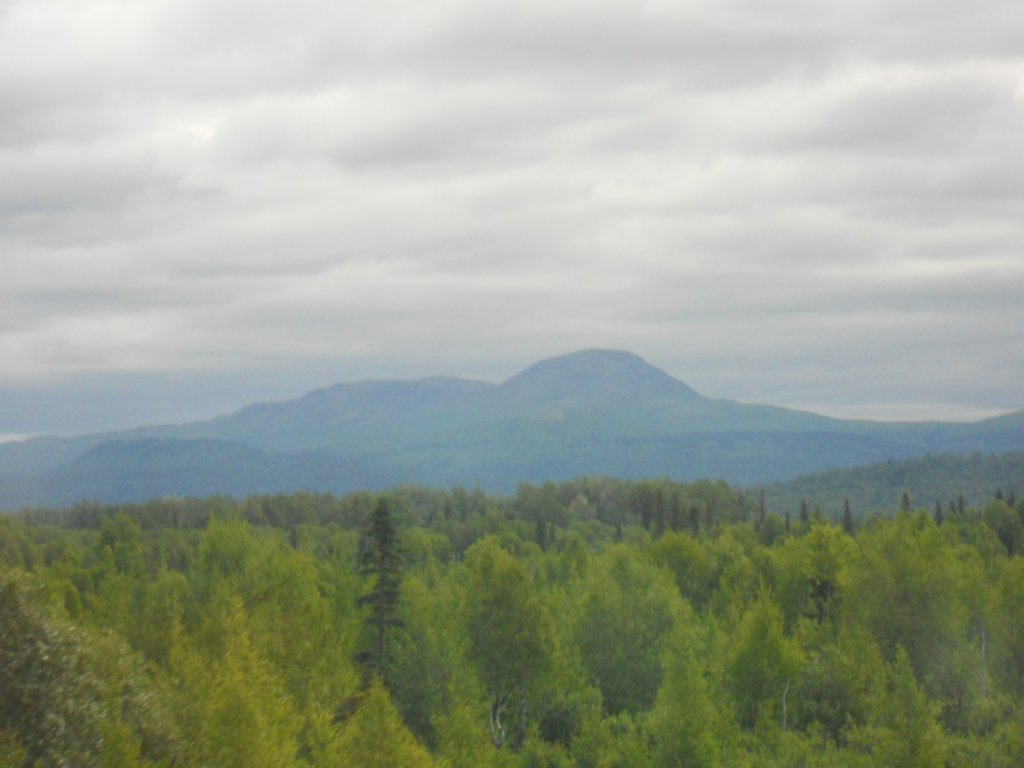 dscn1069.jpg