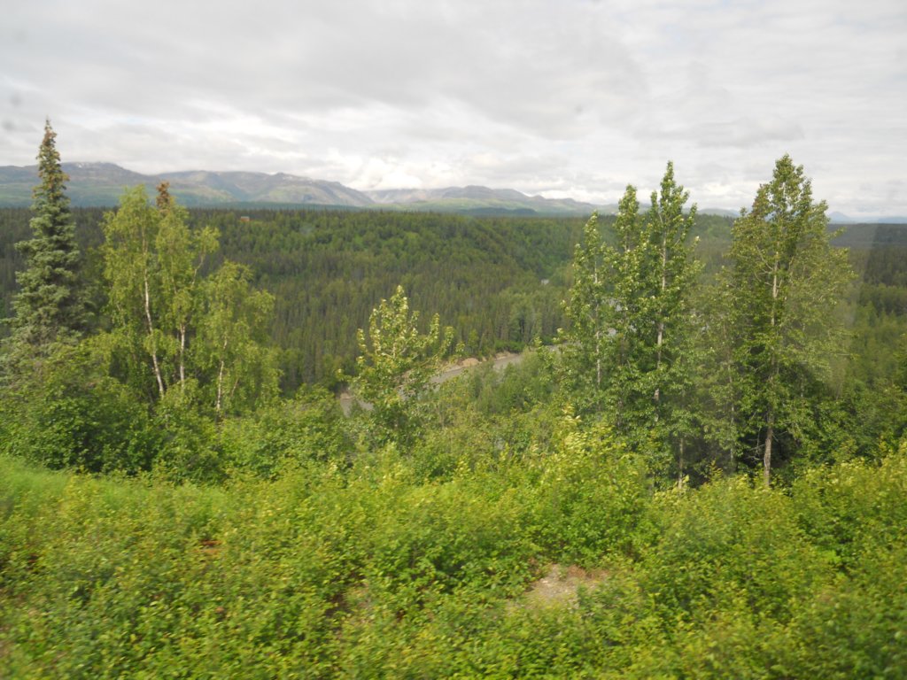 dscn1103.jpg