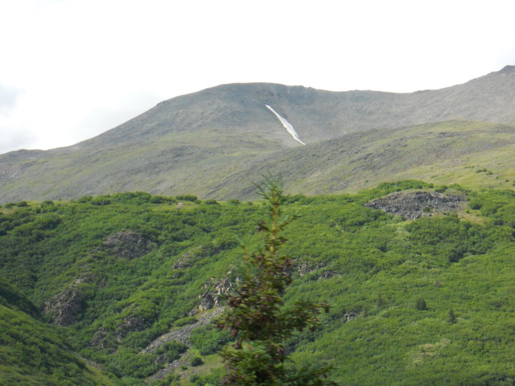 dscn1126.jpg