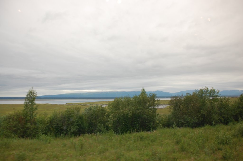 dsc_0791.jpg