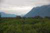 dsc_0802_small.jpg