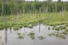 dsc_0820_small.jpg