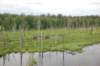 dsc_0821_small.jpg