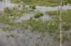 dsc_0823_small.jpg