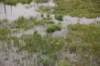 dsc_0825_small.jpg
