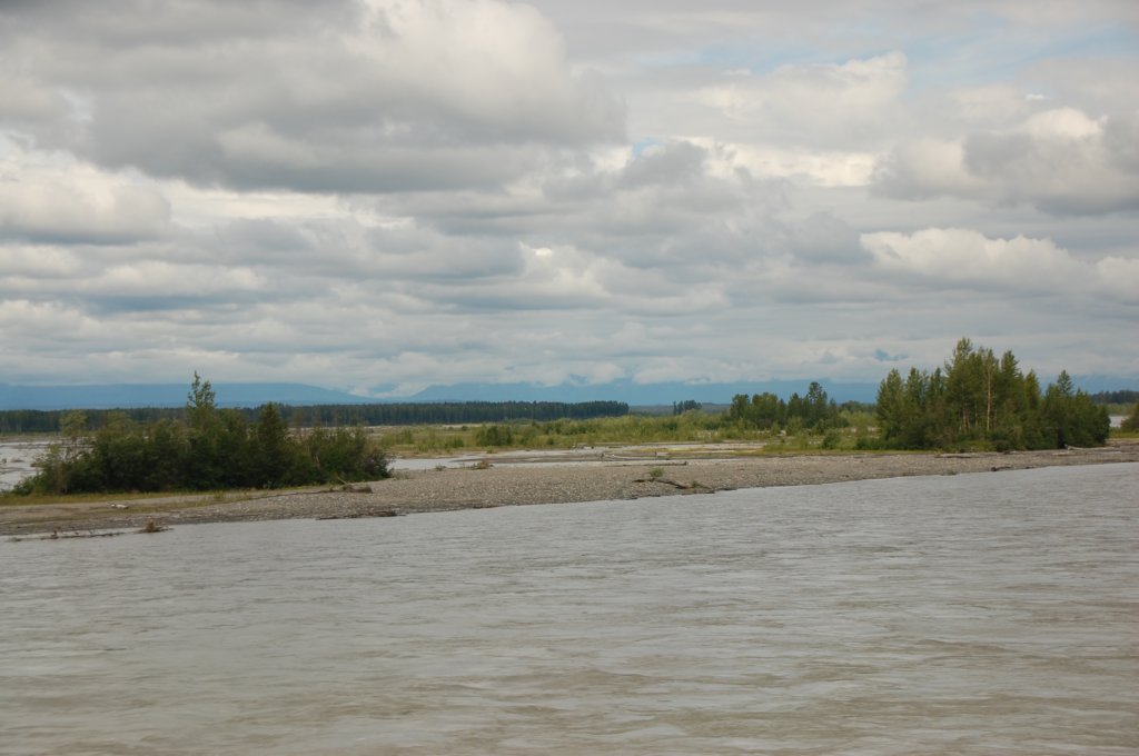 dsc_0833.jpg