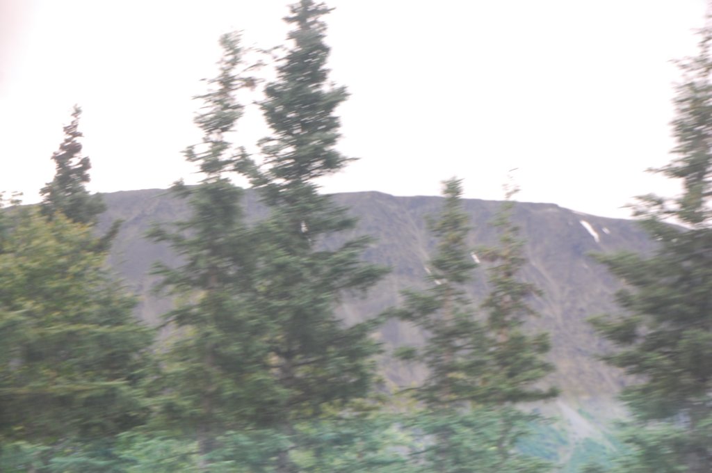 dsc_0837.jpg