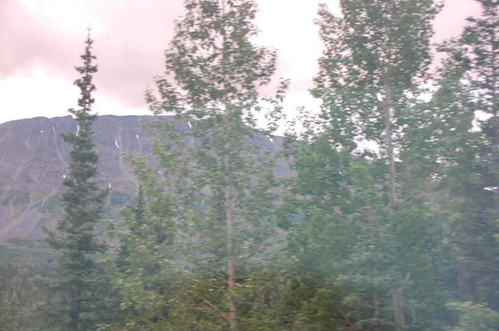 dsc_0839.jpg