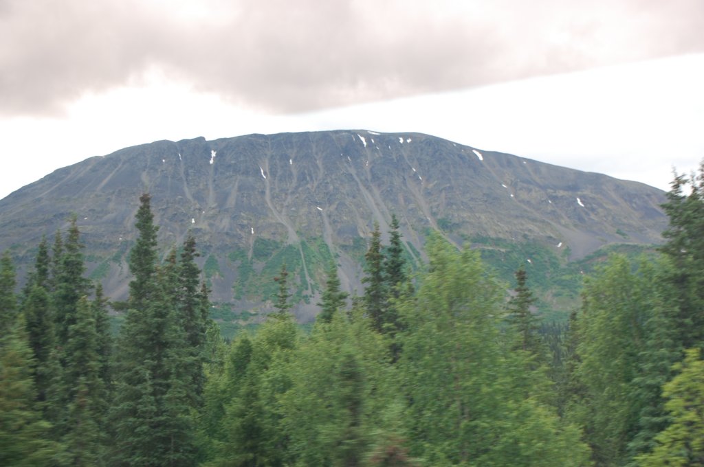 dsc_0841.jpg