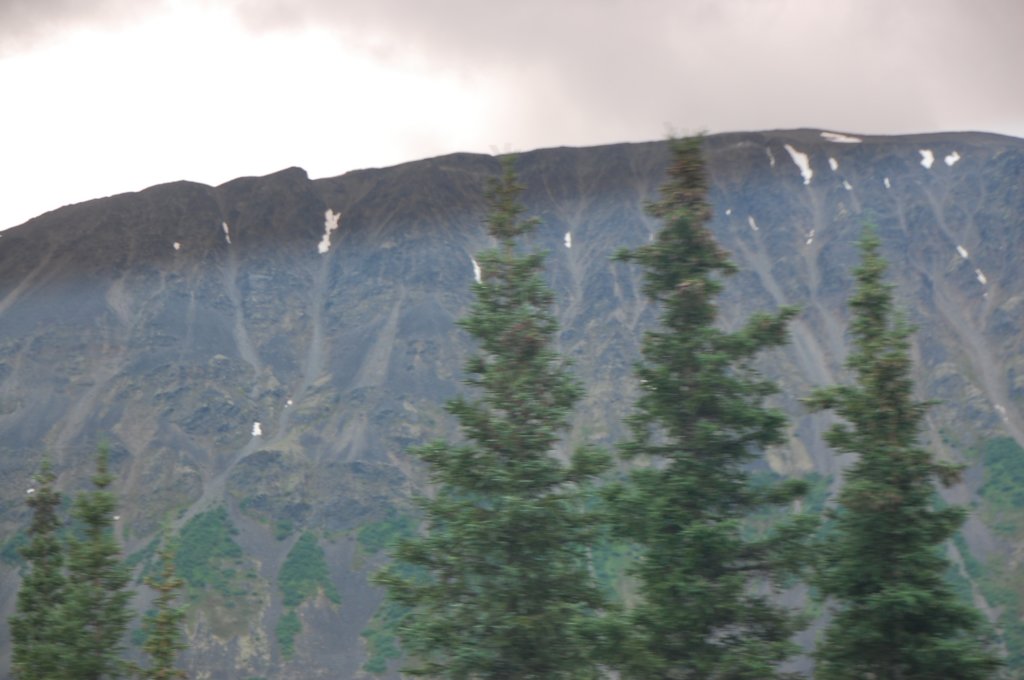 dsc_0844.jpg