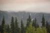dsc_0863_small.jpg