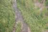 dsc_0884_small.jpg
