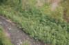 dsc_0889_small.jpg