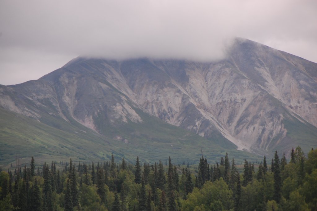 dsc_0905.jpg