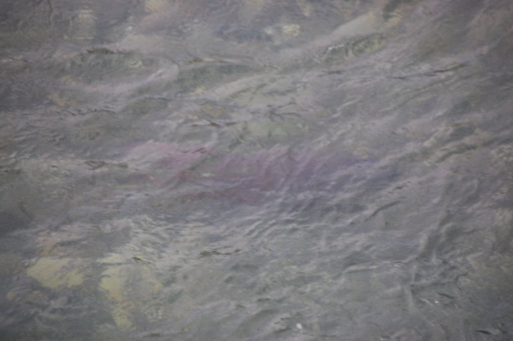 dsc_0913.jpg