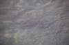 dsc_0913_small.jpg
