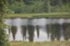 dsc_0923_small.jpg